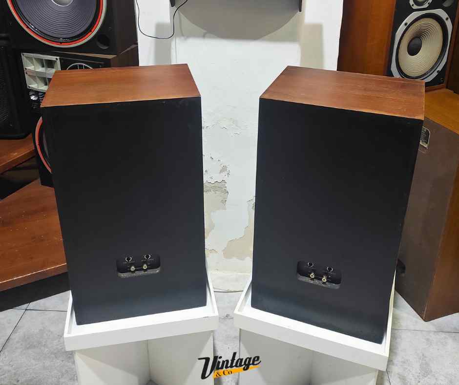 Coppia diffusori AR 12