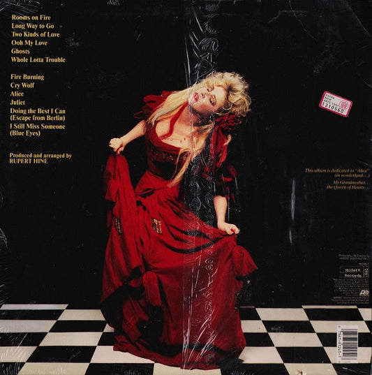 Stevie Nicks - The Other Side Of The Mirror
