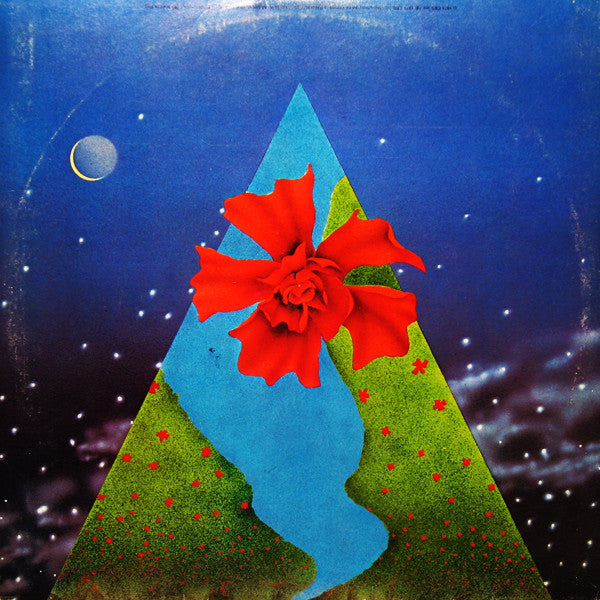 Mahavishnu Orchestra - Visions Of The Emerald Beyond