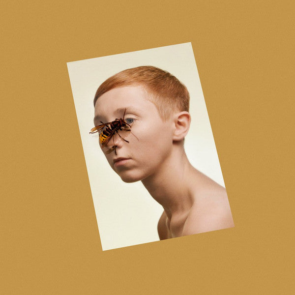 LIM - Higher Living