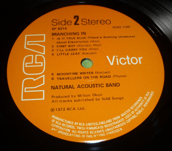 Natural Acoustic Band - Branching In