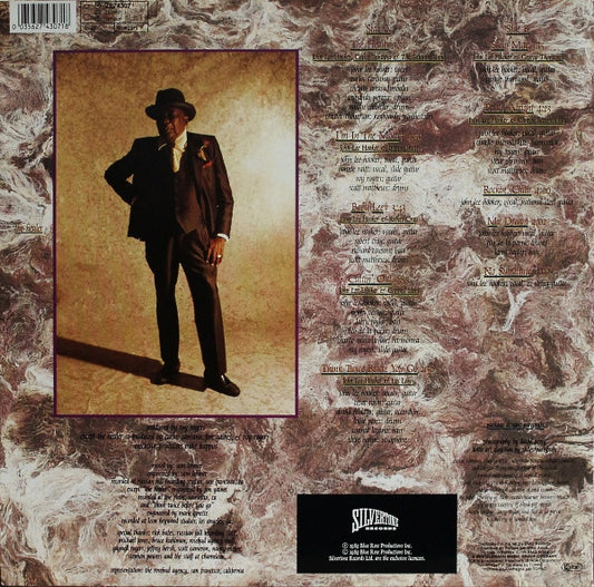 John Lee Hooker - The Healer