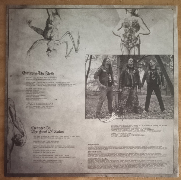 Angel Of Damnation - Carnal Philosophy