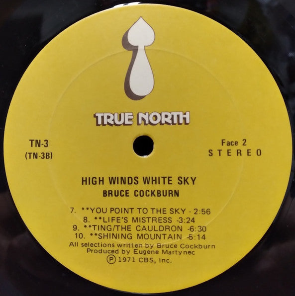 Bruce Cockburn - High Winds White Sky