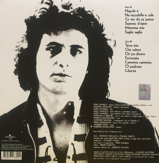 Pino Daniele - Terra Mia (nuovo)