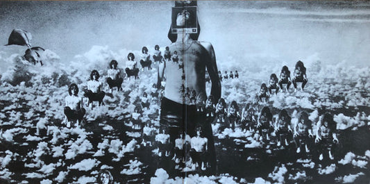 Syd Barrett - The Madcap Laughs (nuovo)