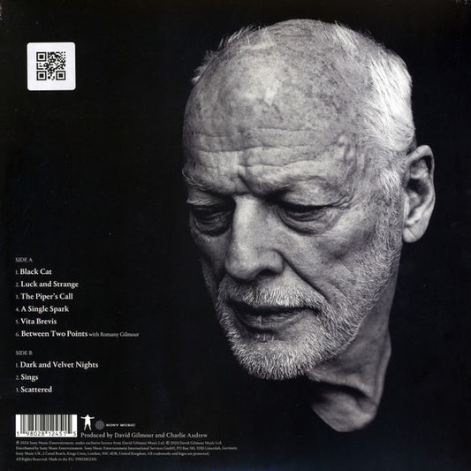 David Gilmour - Luck And Strange