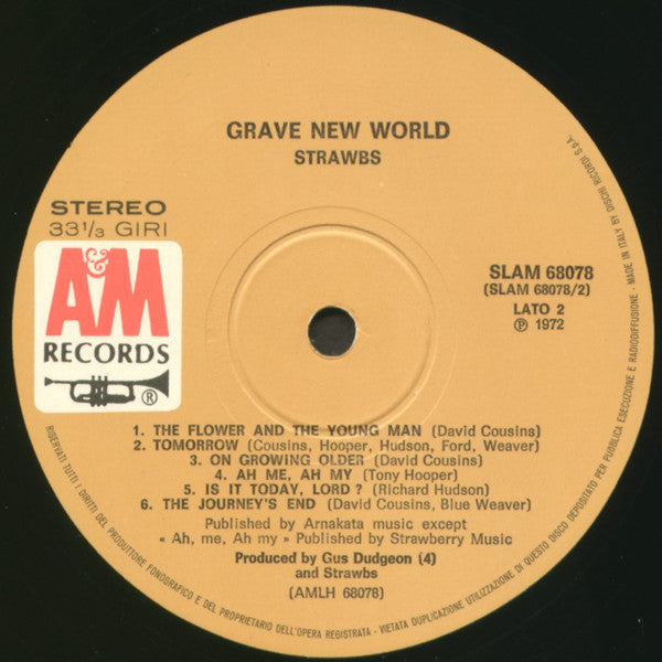 Strawbs - Grave New World