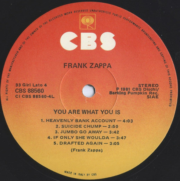 Frank Zappa - You Are What You Is