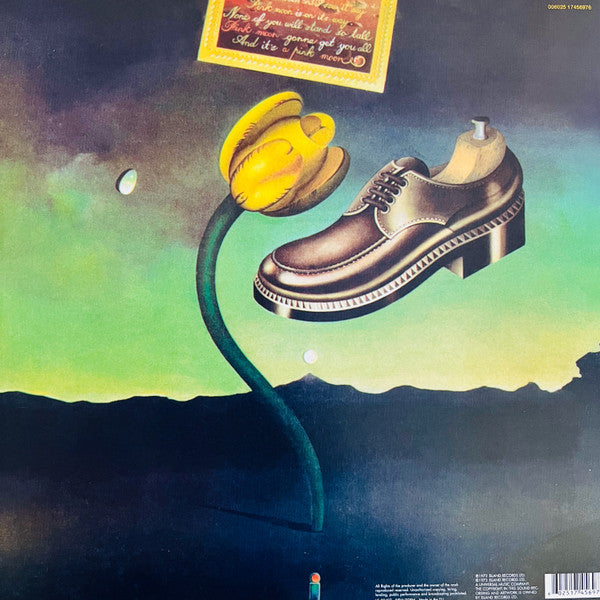 Nick Drake - Pink Moon (nuovo)