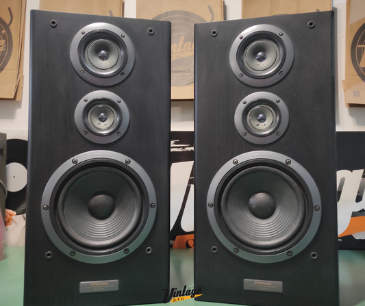 Coppia diffusori Pioneer CS-5030