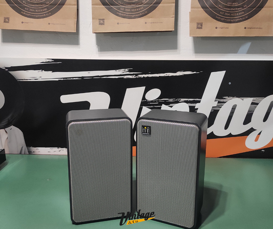 Coppia diffusori Grundig Hifi Box 306