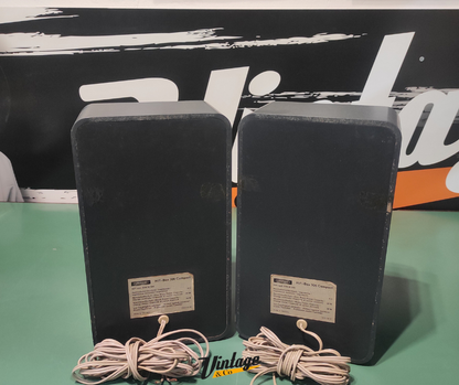 Coppia diffusori Grundig Hifi Box 306