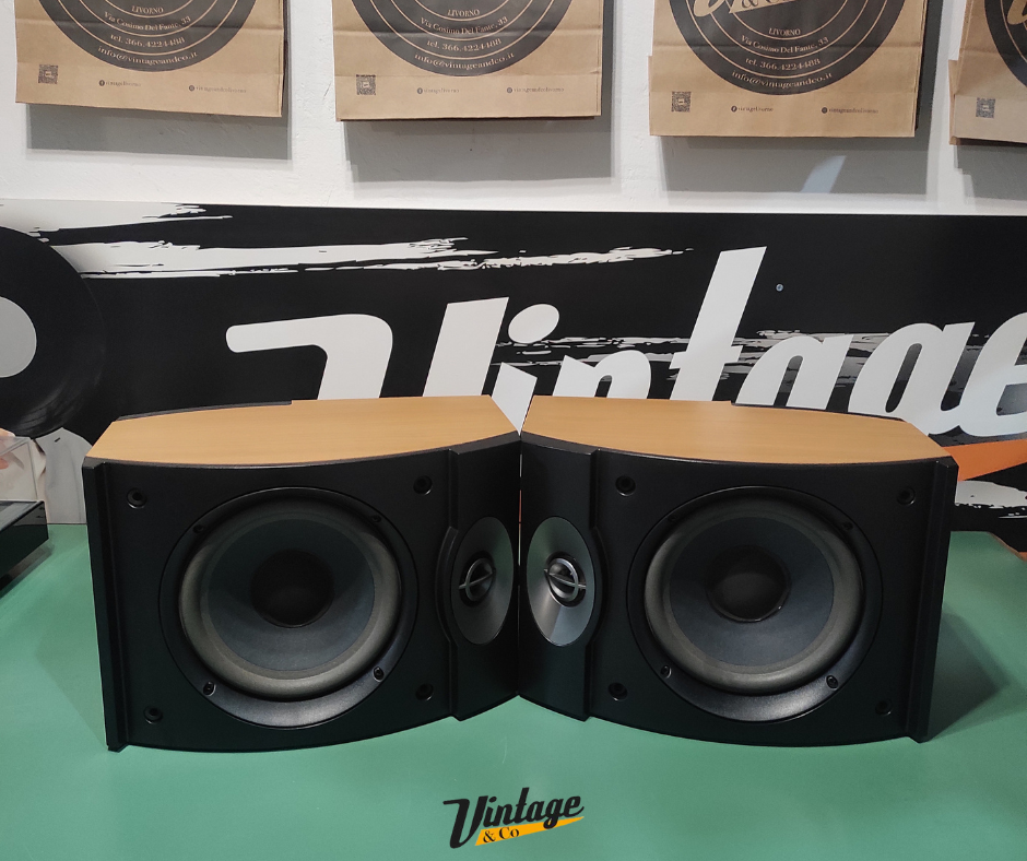 Coppia diffusori Bose 301 serie V