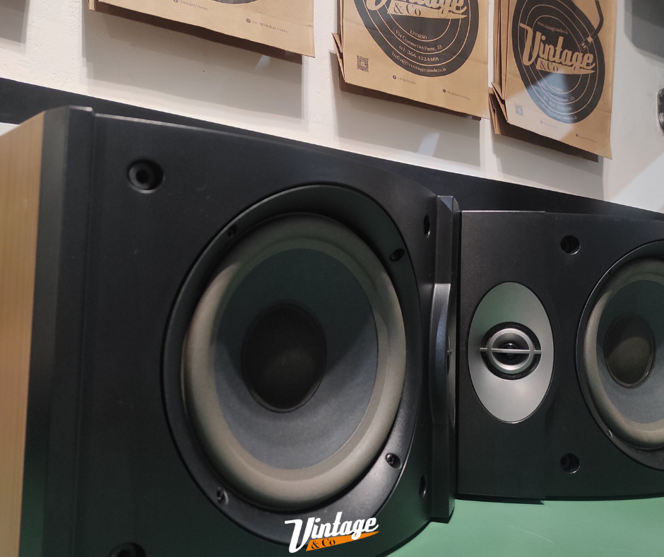 Coppia diffusori Bose 301 serie V