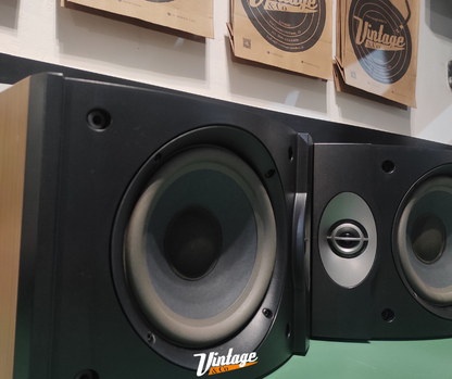 Coppia diffusori Bose 301 serie V