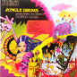Grande Orchestra Ritmo-Sinfonica Diretta Da Morton Gould, Ernesto Lecuona – Jungle Drums