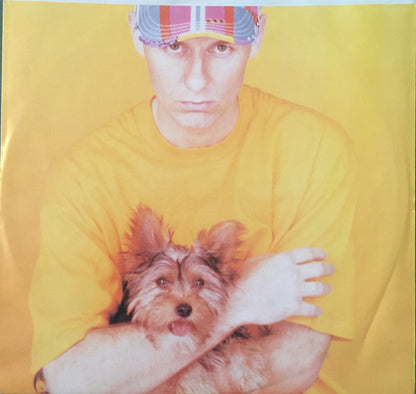Pet Shop Boys - Introspective