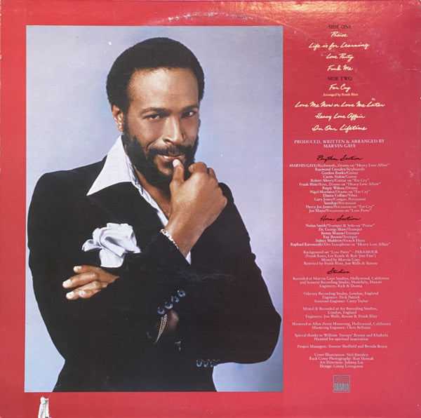 Marvin Gaye - In Our Lifetime