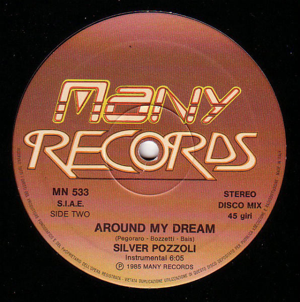 Silvio Pozzoli - Around My Dream