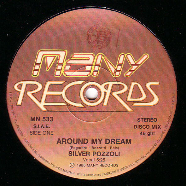 Silvio Pozzoli - Around My Dream