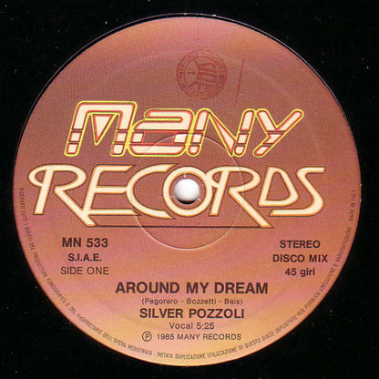 Silvio Pozzoli - Around My Dream