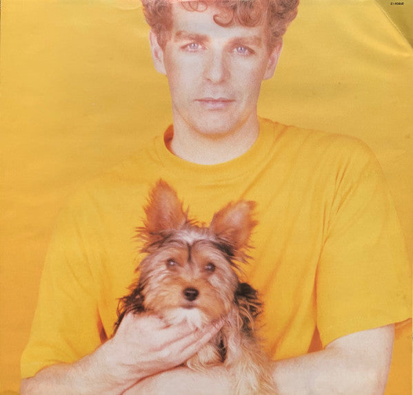 Pet Shop Boys - Introspective