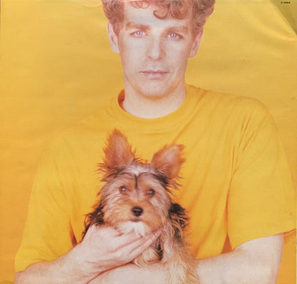 Pet Shop Boys - Introspective