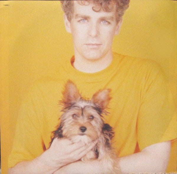 Pet Shop Boys - Introspective