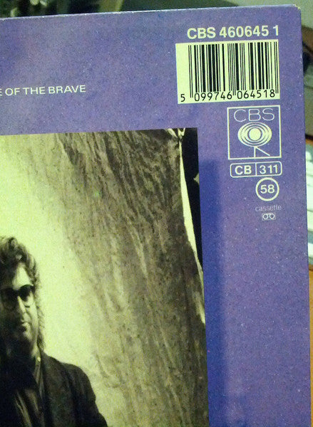 Toto - The Seventh One