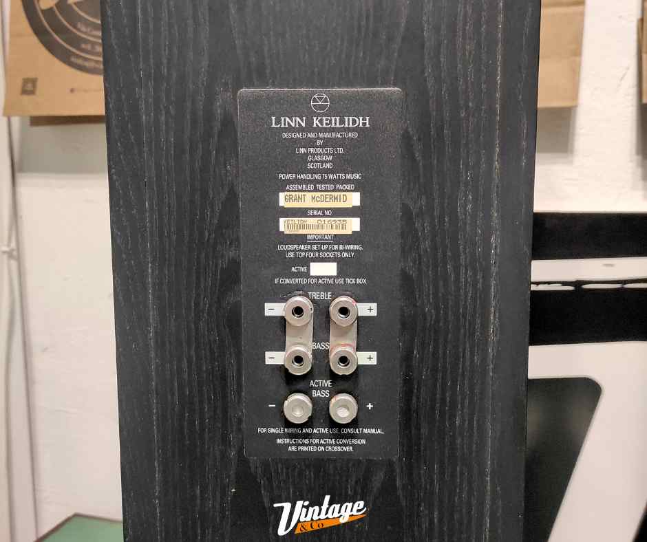 Coppia diffusori Linn Keilidh (con imballo originale)