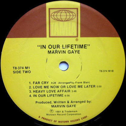 Marvin Gaye - In Our Lifetime