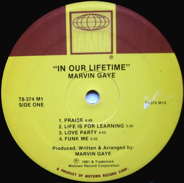 Marvin Gaye - In Our Lifetime