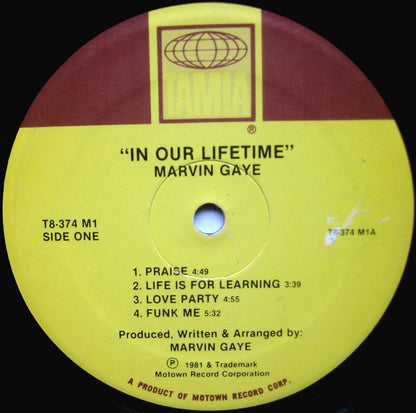 Marvin Gaye - In Our Lifetime