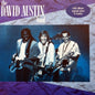 The David Austin Band - The David Austin Band