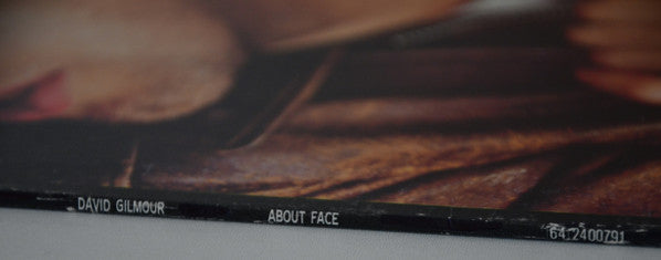 David Gilmour - About Face