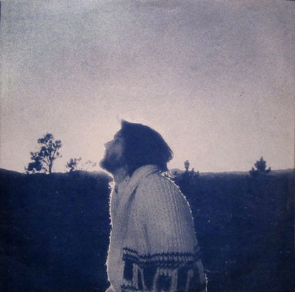 Dan Fogelberg - Nether Lands