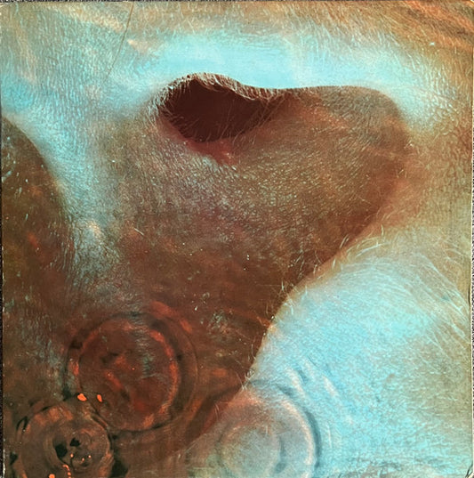 Pink Floyd - Meddle
