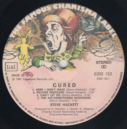 Steve Hackett - Cured