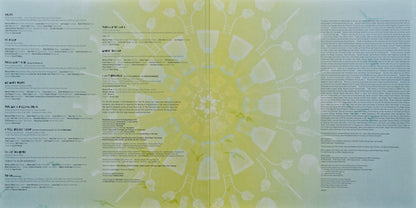 Marcus Miller - Afrodeezia