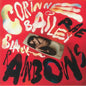 Corinne Bailey Rae - Black Rainbows