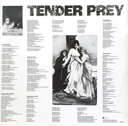 Nick Cave & The Bad Seeds - Tender Prey (nuovo)