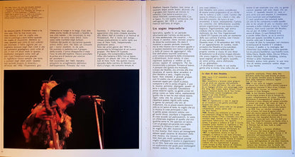 Jimi Hendrix - Jimi Hendrix