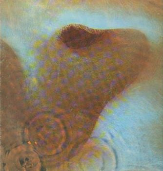 Pink Floyd - Meddle