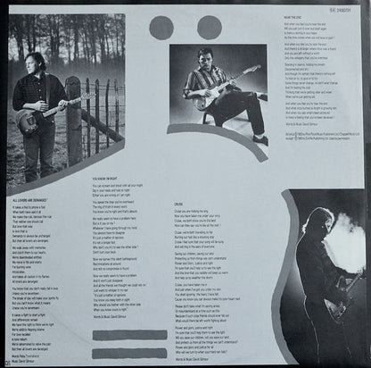 David Gilmour - About Face
