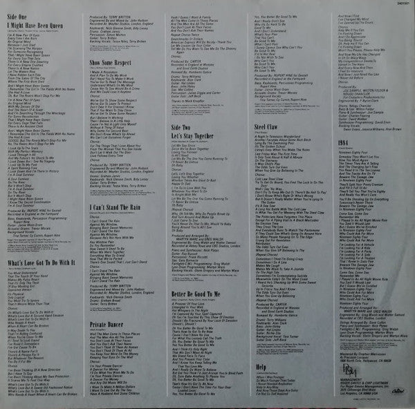 Tina Turner - Private Dancer