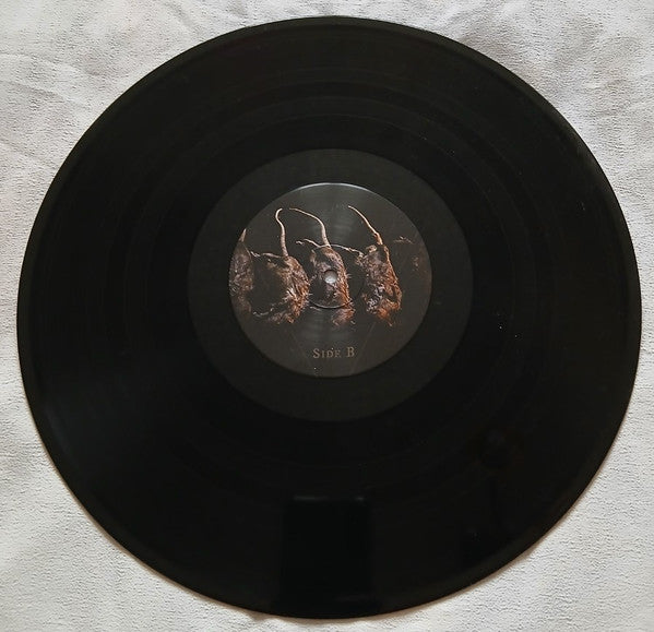 Ruinas - Ikonoklasta