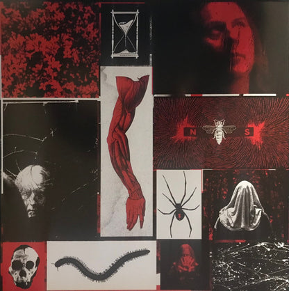 Jerry Cantrell - I Want Blood