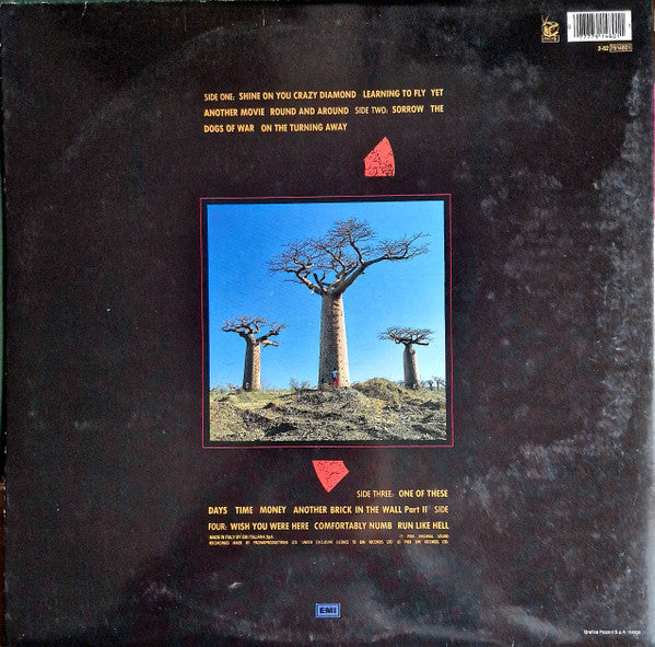 Pink Floyd - Delicate Sound Of Thunder