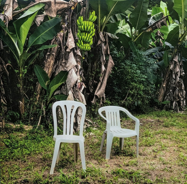 Bad Bunny - Debí Tirar Más Fotos (nuovo)